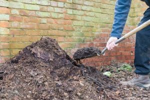 Should I use compost leaves in my vegetable garden?