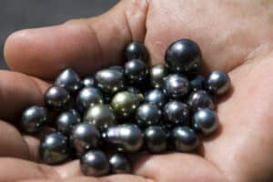 How Much Is A Black Pearl Worth