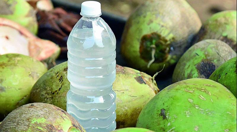 How to Store Coconut Water?