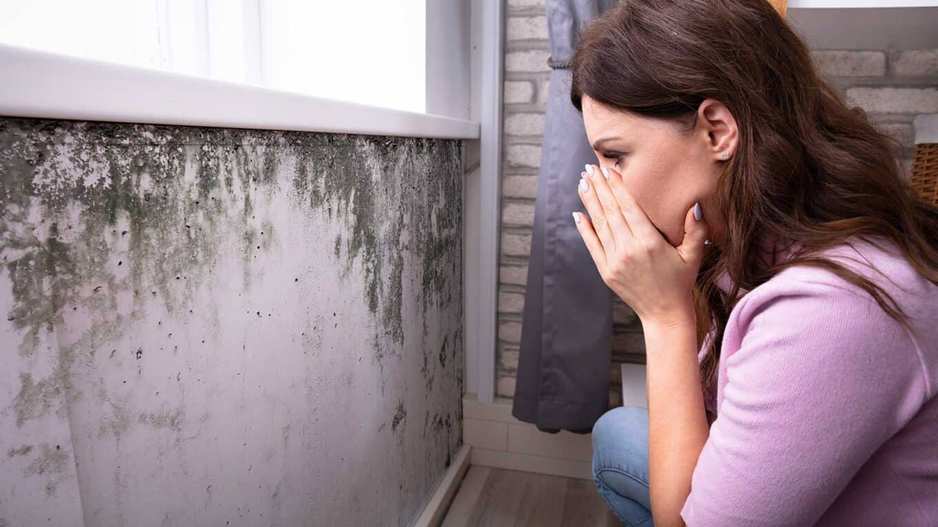 Cleaning Your Moldy Home