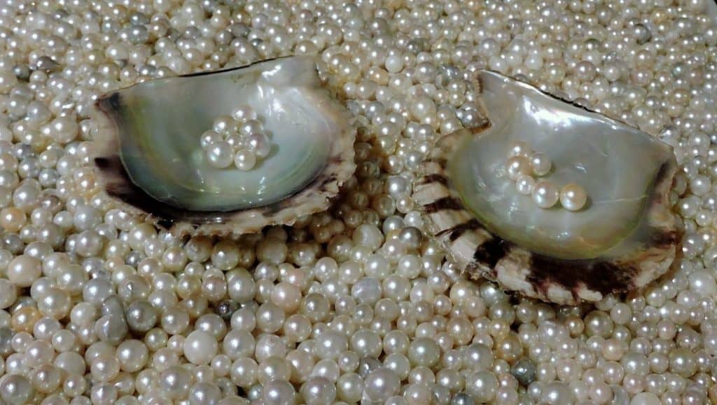 What is Mother of Pearl A Detailed Discussion Below