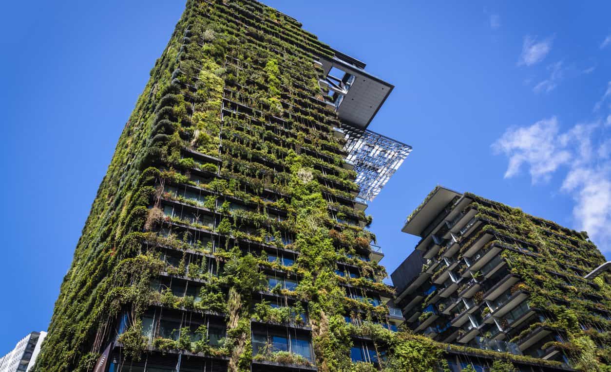 Towering Above the Rest: Secrets to Maintaining a Pest-Free High Rise Building