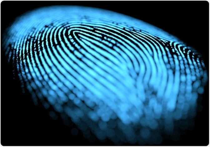 The Science Behind Fingerprint Background Checks