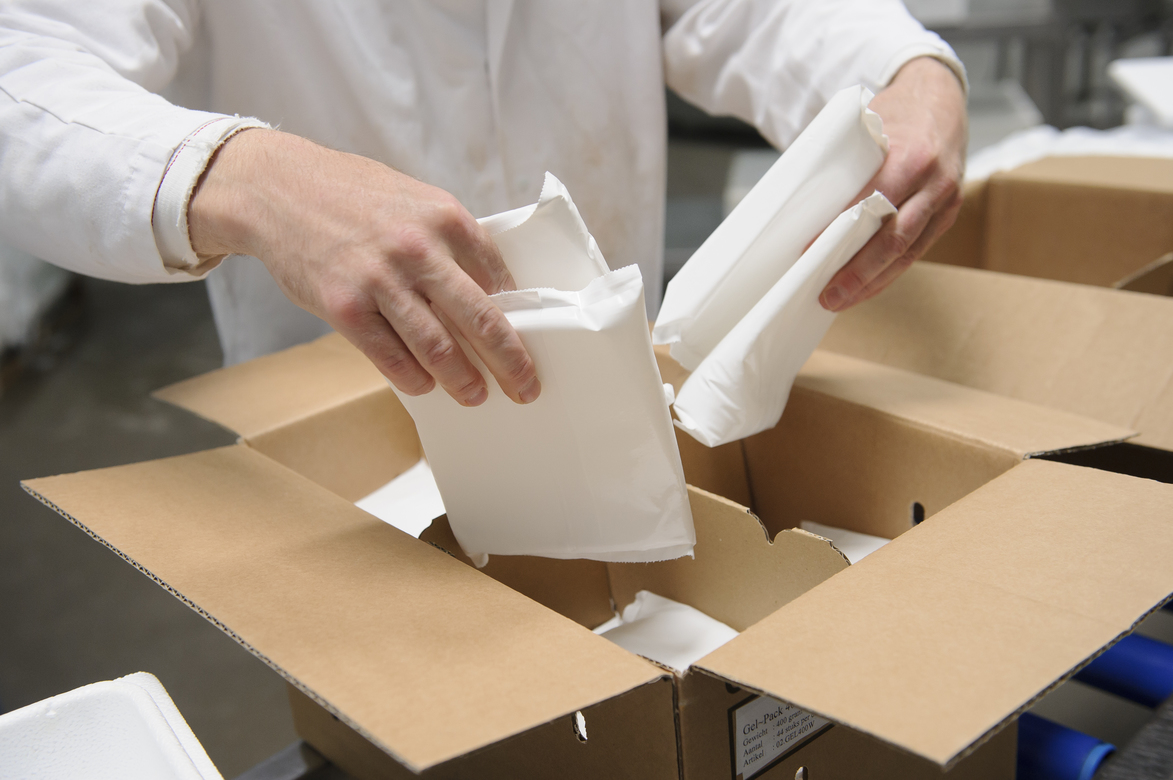 The Science Behind Ice Packs for Shipping and Their Importance How Gem