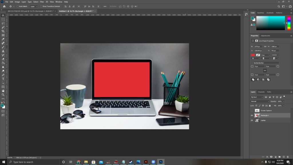 Must-Have Features of the Best Online Graphic Design Programs
