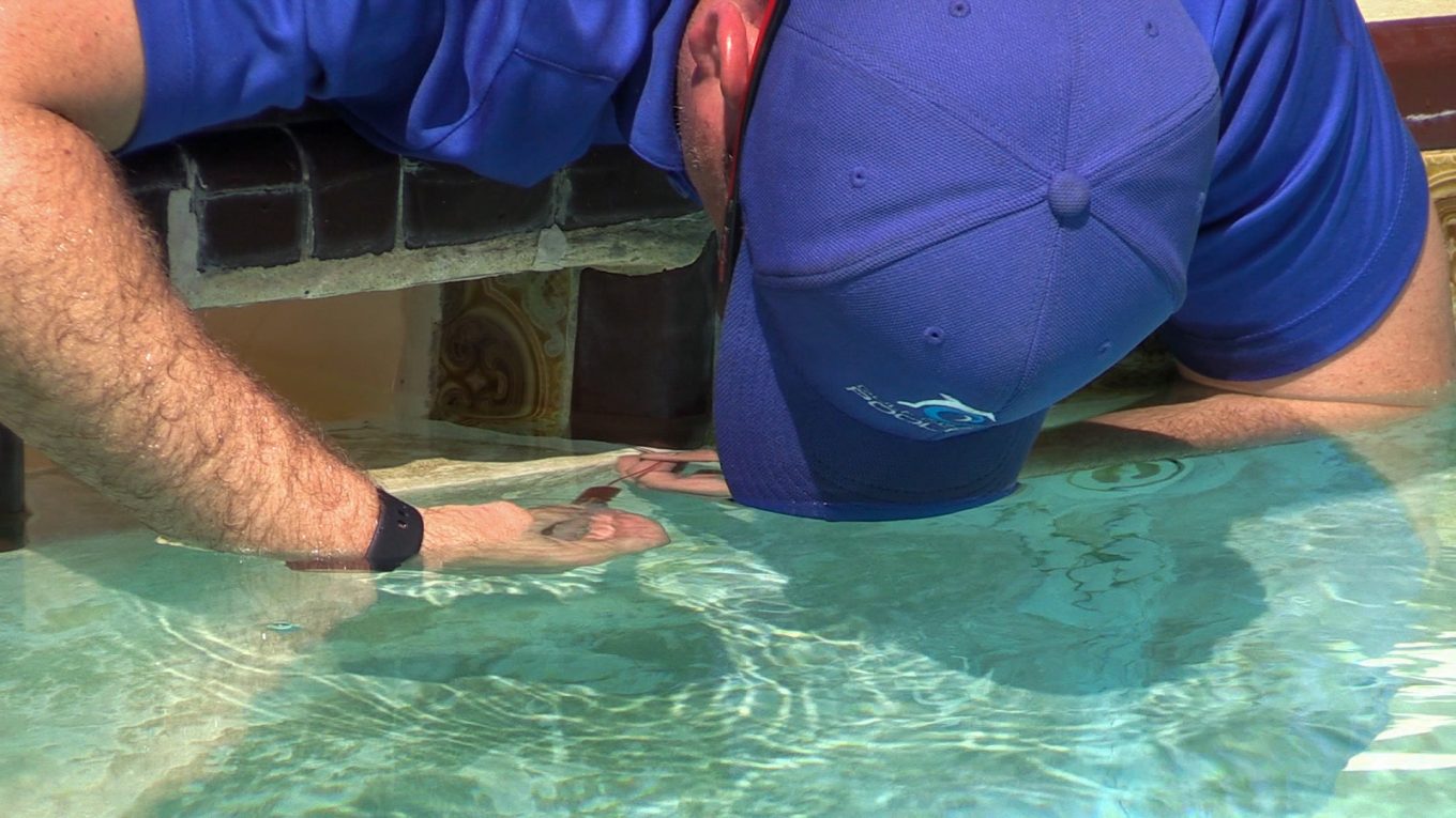 5 Signs Your Pool May Have a Leak