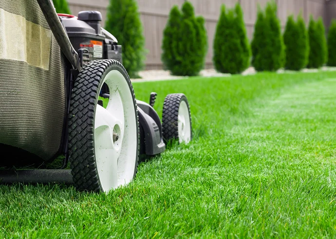 Transform Your Garden Oasis: Ultimate Lawn Care and Outdoor Cleaning Strategies