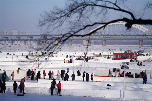 Frozen Fun in Harbin: Where I Almost Became a Popsicle (But Worth It!)