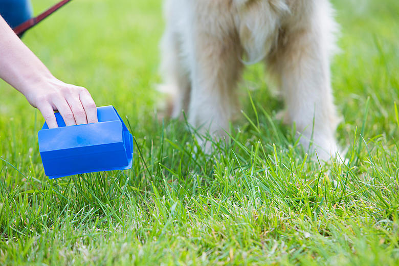 How Luxury Pet Waste Removal Service Is Changing Modern Pet Care