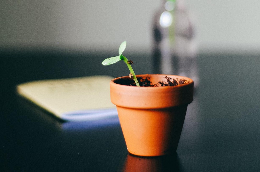 Facebook Ads Strategy for Sustainable Growth