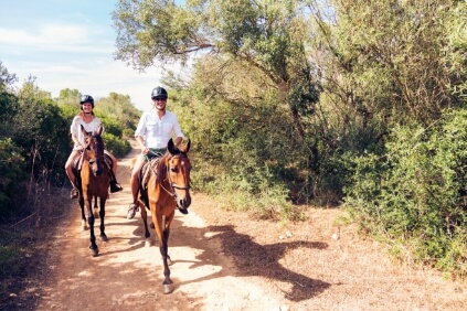 How Horses Help Heal Emotional Wounds